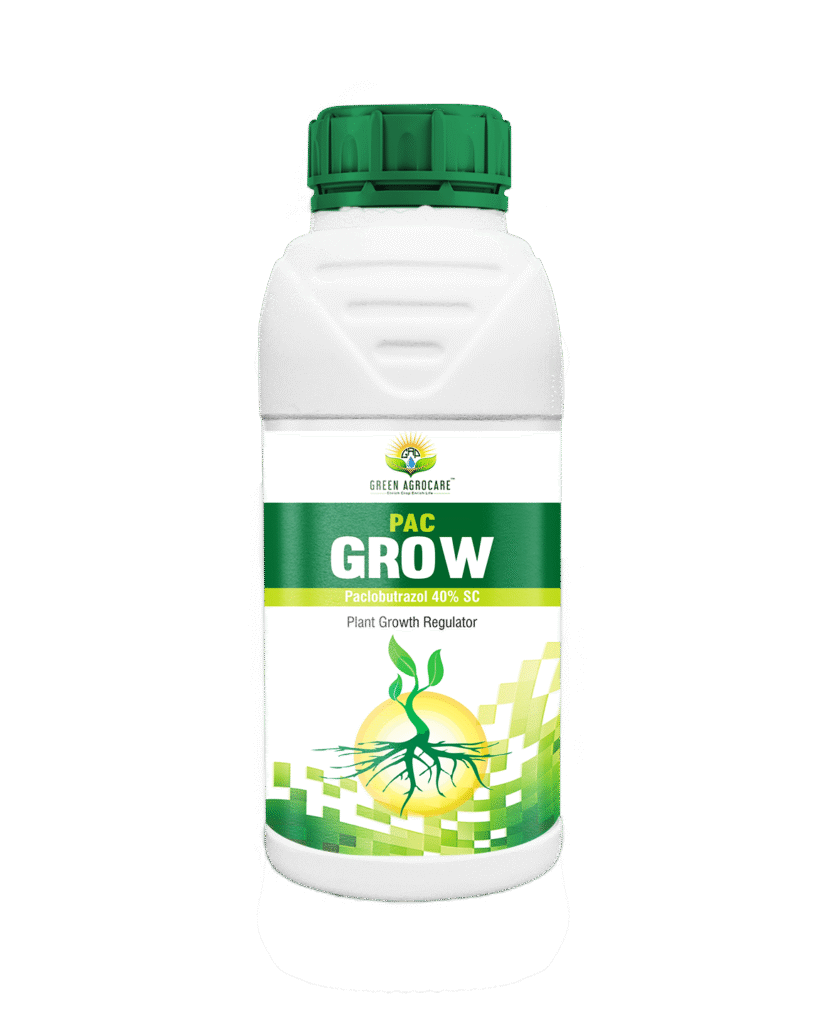 Plant Growth Regulators – Green Agrocare